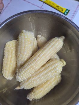 9158.jpg