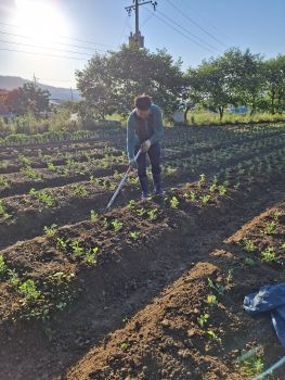 풀과의 전쟁 시작 -긁고 또긁고-